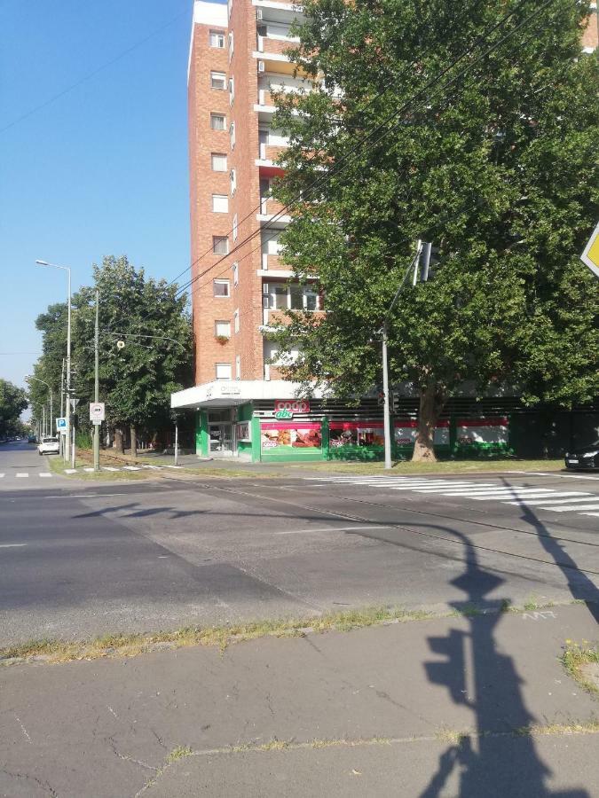 Kis Becsi Apartman Lejlighed Szeged Eksteriør billede